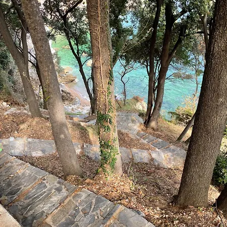 Hideaway In With Private Access To Sea Anna's Horizon Σπίτι διακοπών