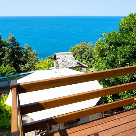 Hideaway In With Private Access To Sea Anna's Horizon Σπίτι διακοπών