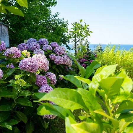 Hideaway In With Private Access To Sea Anna's Horizon *