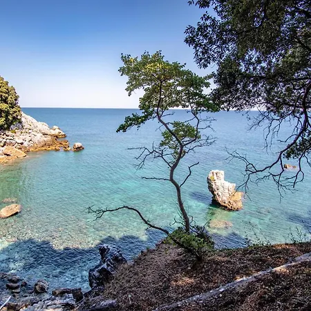 Hideaway In With Private Access To Sea Anna's Horizon * 达默查理
